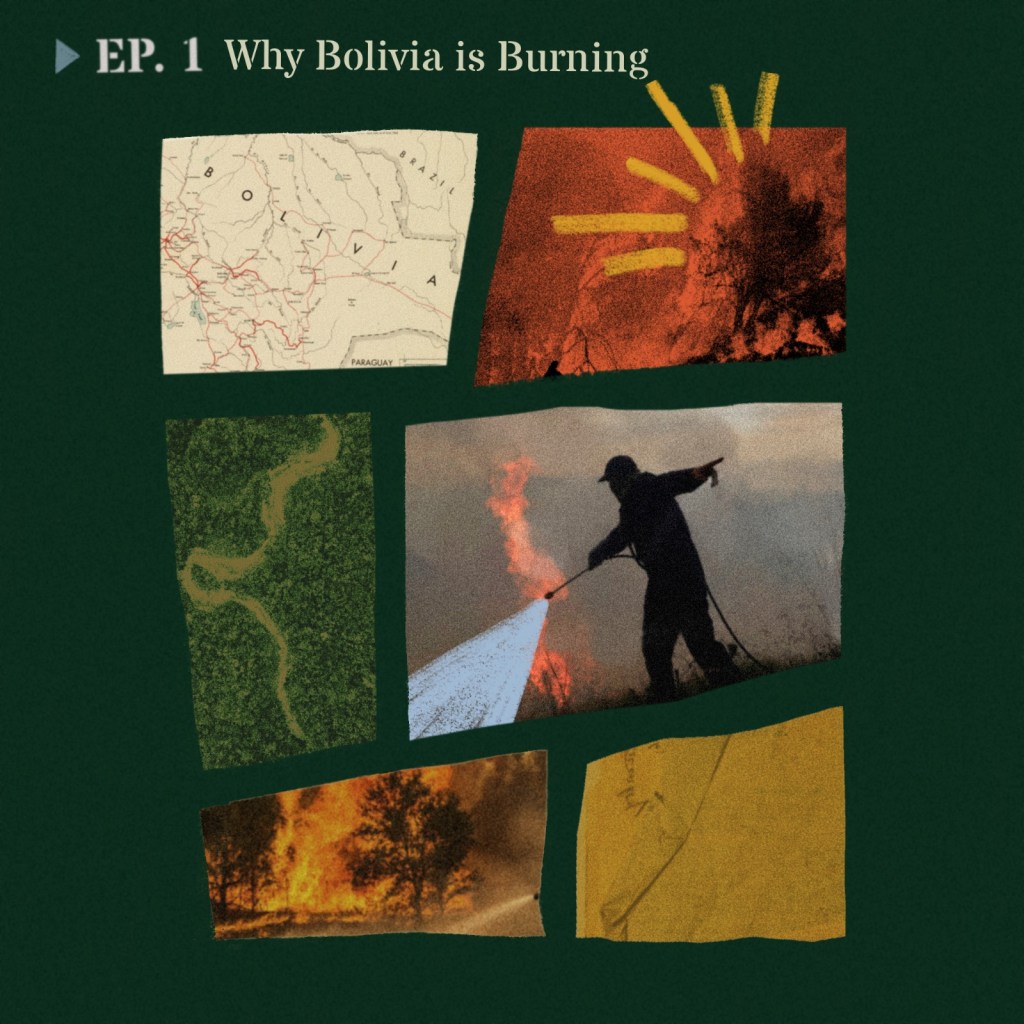 cover image of podcast episode why bolivia is burning InSight Crime Podcast
